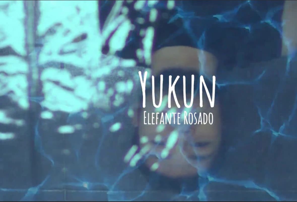 Yukun - Elefante Rosado